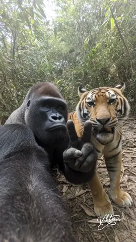 Posing for a selfie #selfie #foryou 