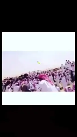#بني هاجر#مزاين بني هاجر #الشعامل #الهاجري 