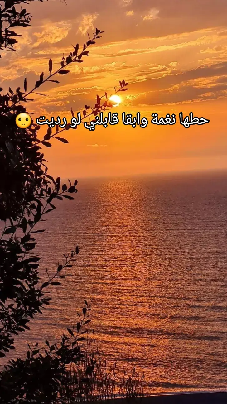 #موسيقى #رنات #نغمات 