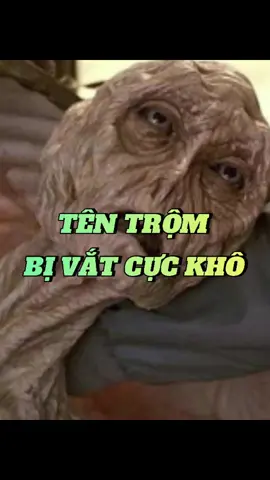 Tên trộm bị vắt cực khô #chuotkechuyen 