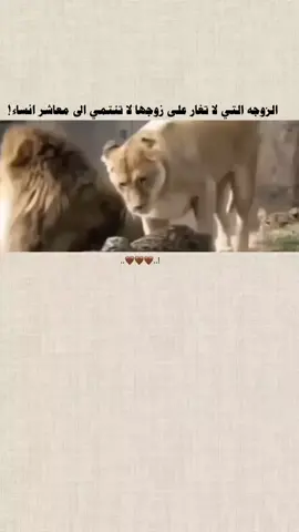 بلا شكِ 🙂👍🏻