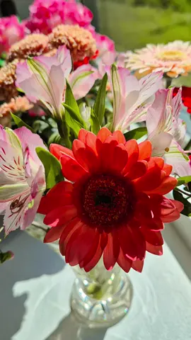 #اكسبلور #الحمدلله_دائماً_وابداً #🙏 #يسعد_مساكم #❤️ #🦋🌺🦋🌺🦋 #🌼🌻 