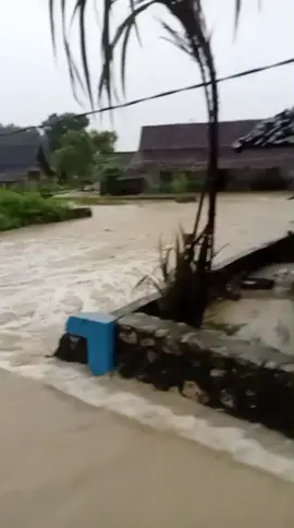 19 mei 2025 DK JURANGJERO kecamatan Banjarejo kabupaten Blora Jawa Tengah terlanda banjir bandang@ini_blora @blora_updates 