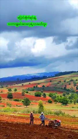 #ပင်းတယသားလေး 