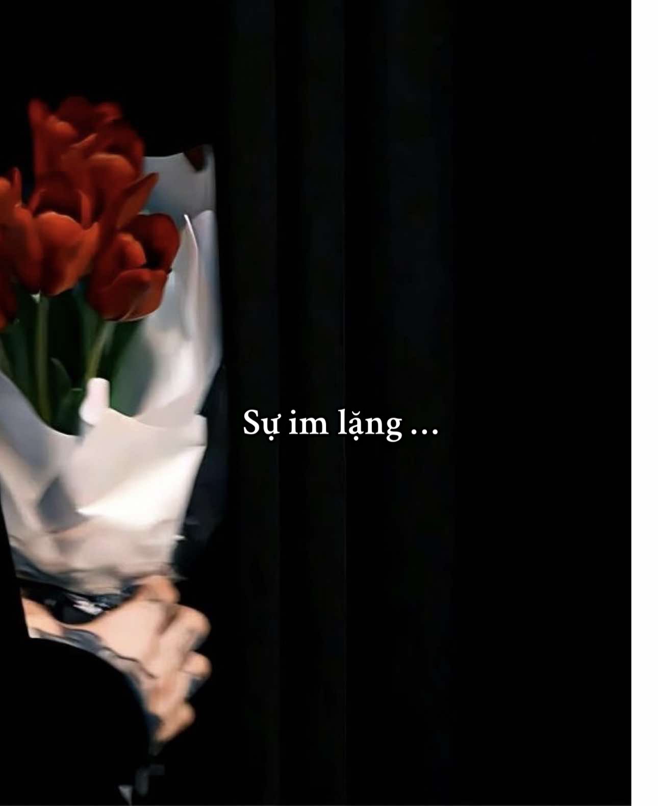 Replying to @namanh1021992 Lần im lặng “lâu nhất” mà mọi người từng trải qua là bao lâu? #vukhanhlinh #klnh #couple #couplegoal #trending #viral #xuhuong #ilovetiktok #fyp #capdoi #silenttreatment 