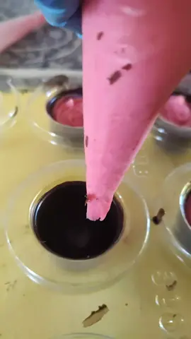 Recheando trufas? Vai uma trufa aí? #bomdia #dia #morango #trufademorango #trufas #chocolates #empreendedorismo #casa #trabalhoemcasa 