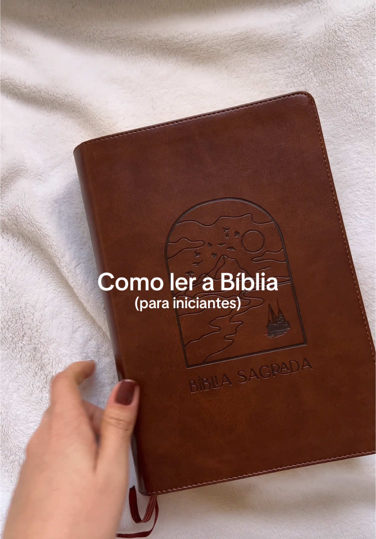 Como ler a Bíblia (para iniciantes) 📖✨🤍 #cristãosnotiktok #garotascristãs #meninascristãs #BookTok #booktokbrasil #fyppppppppppppppppppppppp #fyp #devocionalinspirador #devocional #Bíblia #bible #viralvideos 