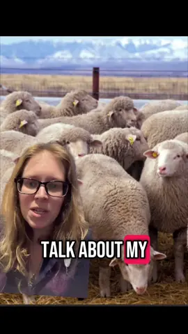 Learning about sheep spiritually helped me heal the hinderance I find around the idea of interdependence and the Shepard in my life that compassionately guides me. I’m not alone nor am I not protected. I am loved guided and protected. #sheep #spirituality #spiritguides 