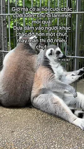 Anh nào nuôi em hong #greencreator #vinwonders #vinpearl #vinpearlgolf #wondersummer #tuhaovietnam #vinpearlsafariphuquoc 