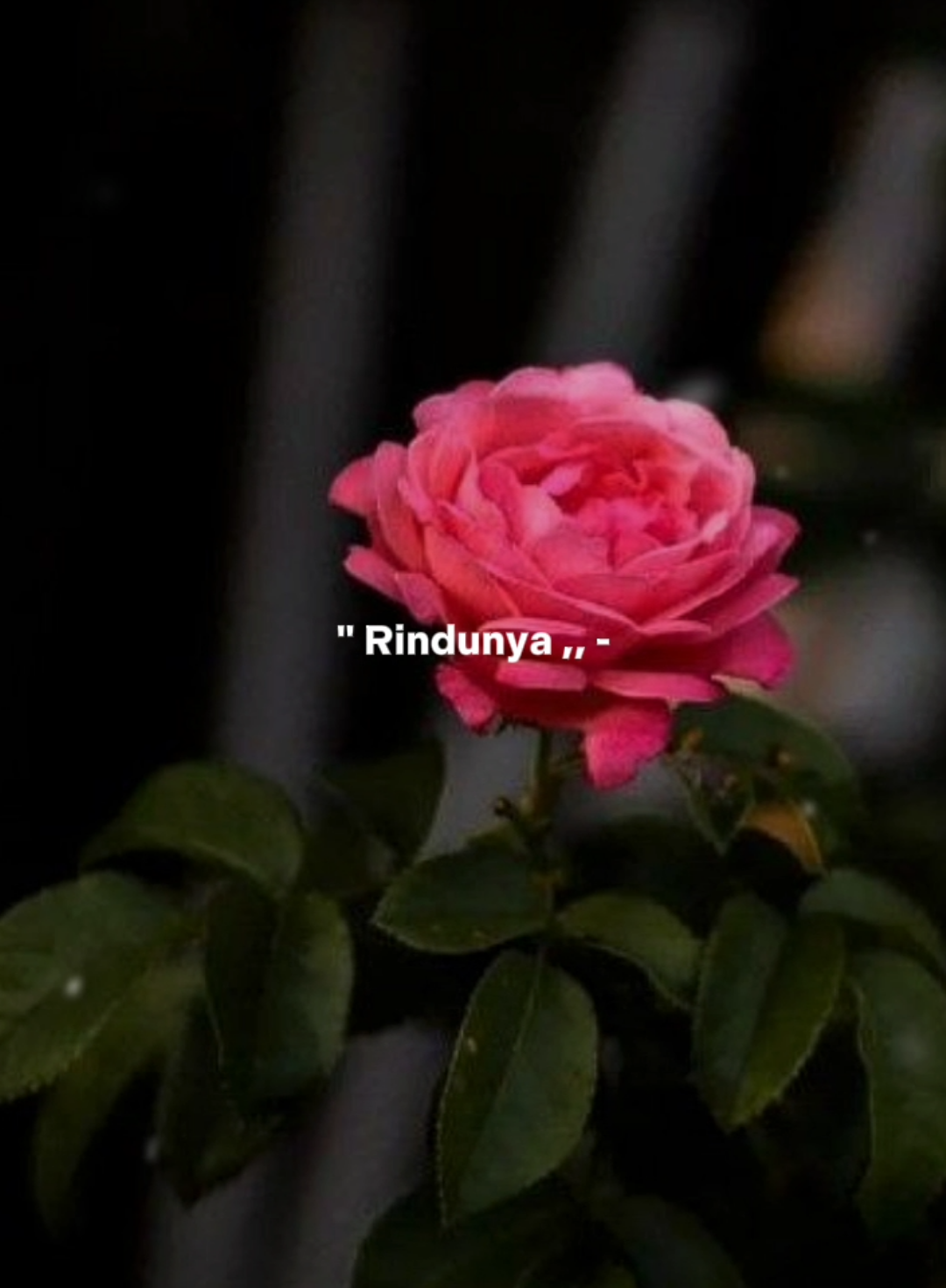 Rindunya Hatiku - Irwan ft Fira Cantika [𝐕𝐞𝐫𝐬𝐢 𝐓𝐞𝐦𝐩𝐥𝐚𝐭 𝐊𝐥𝐢𝐤 𝐋𝐨𝐠𝐨 𝐂𝐂] . #CapCut #rindunyahatiku #irwandacademy2 #firacantika  #song #songlyrics #liriklagu #templatecapcut #masukberanda #lewatberanda #foryou #foryoupage #fyp #xyzbca #dj_story #dj_74® #david_jawara74 #banjarnegarastory 