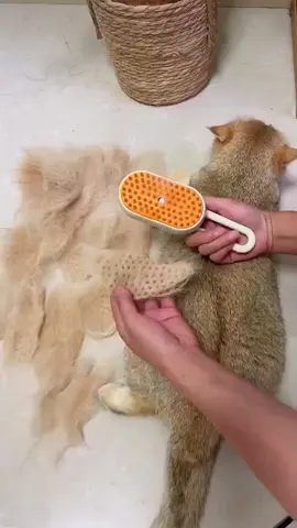 cat fur brush 