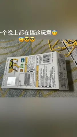 一个晚上的杰作