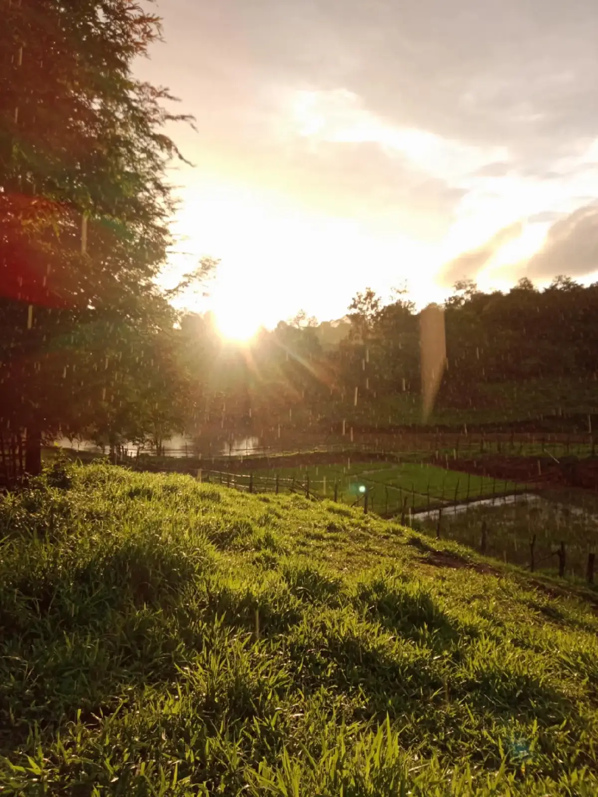 #เทรนวันนี้ #วีวบ้านนอก🍃 #กดใจให้หน่อย #ดันขึ้นฟีดที 