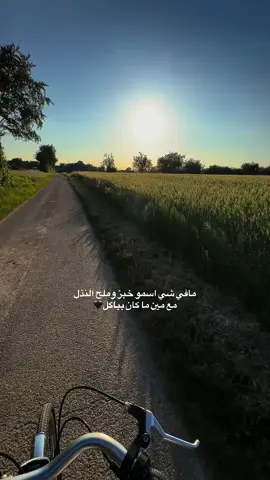 #ترند #جنگو🐊 #fyp 