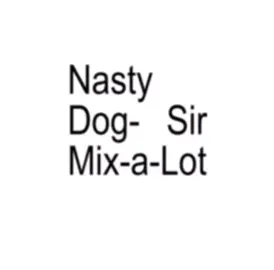 Nasty Dog- Sir Mix-a-Lot | | #xyzabc #lyrics #fyp #fypviral #lyricsaudi0s #viral #song #blowthisup #blowup #cbaxyz #music #viralvideo #yzxcba 