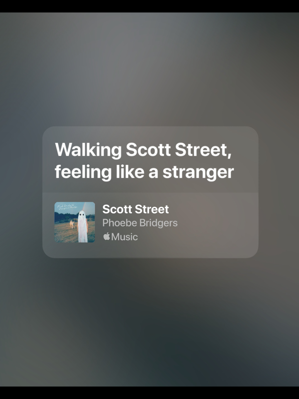 anyway don't be a stranger😔 #scottstreet #phoebebridgers #lyrics #liriklagu #spotify #spotifylyrics #songlyrics #songviral #foryou #fyp 