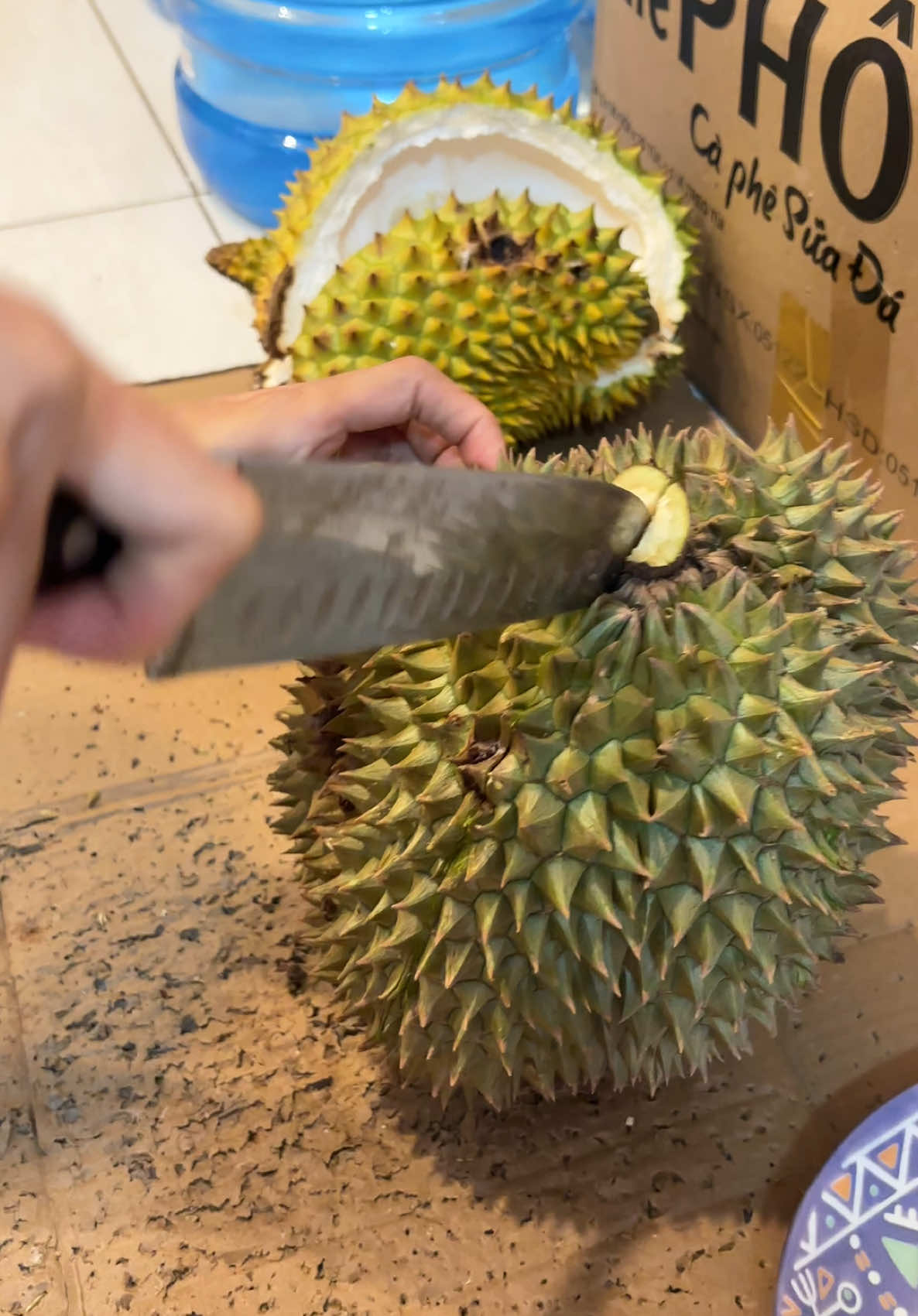 Sầu riêng thái #saurieng #saurienglongkhanh #nhiemtu #sendalongkhanh 