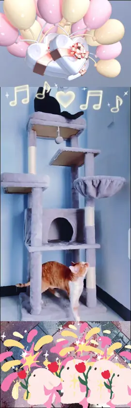 My cat likes it very much. I regret buying it late.#Wecharmer#CatTreeLiveSale##FelineFurniture##PetEssentials##SeasonStyle##TikTokShopBlackFriday##TikTokShopCyberMonday##TikTokShopHolidayHaul##CatLovers##HappyCats##PetParentLife##InteractiveShopping##ShopWithMe##PetComforts##LiveShoppingEvent##PerfectForCats##CozyCatSpace##CatPlayground##HolidayDeals##ShopNow##PetFriendlyLiving##CatsOfTikTok##LiveStreamSale##FurBabyEssentials##PetGiftIdeas##SpoilYourCat##CatTreeLiveSale##FelineFurniture##PetEssentials##SeasonStyle##TikTokShopBlackFriday##TikTokShopCyberMonday##TikTokShopHolidayHaul##CatLovers##HappyCats##PetParentLife##InteractiveShopping##ShopWithMe##PetComforts##LiveShoppingEvent##PerfectForCats##CozyCatSpace##CatPlayground##HolidayDeals##ShopNow##PetFriendlyLiving##CatsOfTikTok##LiveStreamSale##FurBabyEssentials##PetGiftIdeas##SpoilYourCat