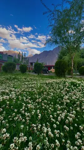 Top Hills Resort Skardu  A Project Of GB Tourism Club In Skardu. Alhamdulillah Now We Have 5 Setups Resort Hitels in Skardu ❤️🔥 Weekly Trips ki Details ky lia Insta Ya Whatsaap Pay Rabta Kijyay. Group our Families ky Lia Special offer 4 Seats Book karain 1 Seats Mukammal Free. 8 Din 7 Din 5 Din Hunza Skardu Ky Trips Har Friday Lahore sy Departure Karta ha. #gbtourism #gbtourismclub #gbtc #jumailkhokhar #pakistan #foryoupage #foryoupage #foryou #foryoupageofficiall #skarduvalley #hunza_valley #swat #kashmir #tourism #hazaramotorway #viralvideo #viralclip #all #nature #vehical #sajidsadpara #mountains #skardu #viralreels 