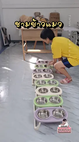 ชามข้าวแมว #ชามข้าวแมว #ชามข้าวแมวยกสูง #ชามข้าวแมวแบบสูง #ชามข้าวสัตว์เลี้ยง #ชามข้าวสัตว์เลี้ยงยกสูง #มิสเตอร์แมว