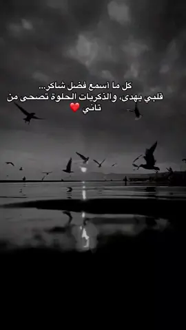 #فضل_شاكر #عشق #ذكريات #exploremore #اكسبلورexplore❥🕊 #fypシ゚ 