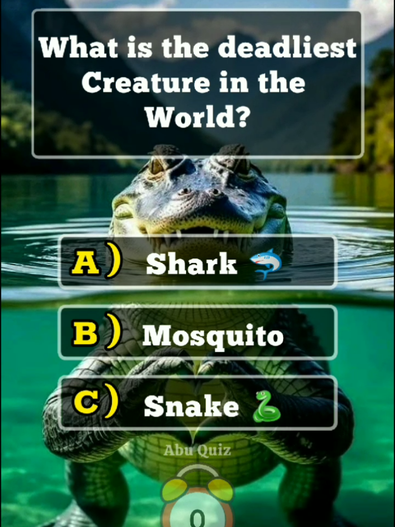 Animal Quiz Can You Get 5/5? #QUIZ #quiztime #quizzes #animal #animalquiz #viralditiktok #uktiktok #tiktok 