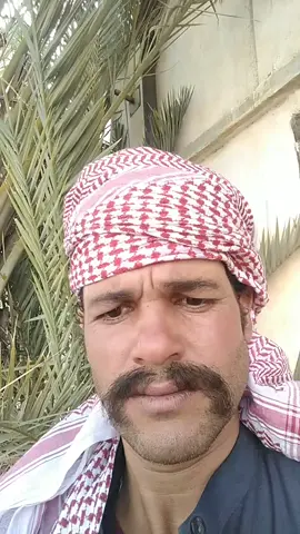 #تنسيقات_متجر_التيك_توك 