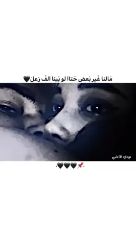 ضيفوها @سيلۅۅ اݪحۅمصيهَۃةَ ١. #ستوريات_انستا #اكسبلور_تصميمي #fypシ゚viraltiktok #fypシ゚vira #fypシ #foryo 