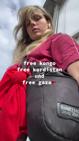 ich sag was ich sag  #frrepalestine #rojava #communism #161 