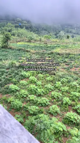 #bugis #katakata #bugiskeren #masukberanda #fypage #fyp #lagubugisviral #qoutes #storybugis 
