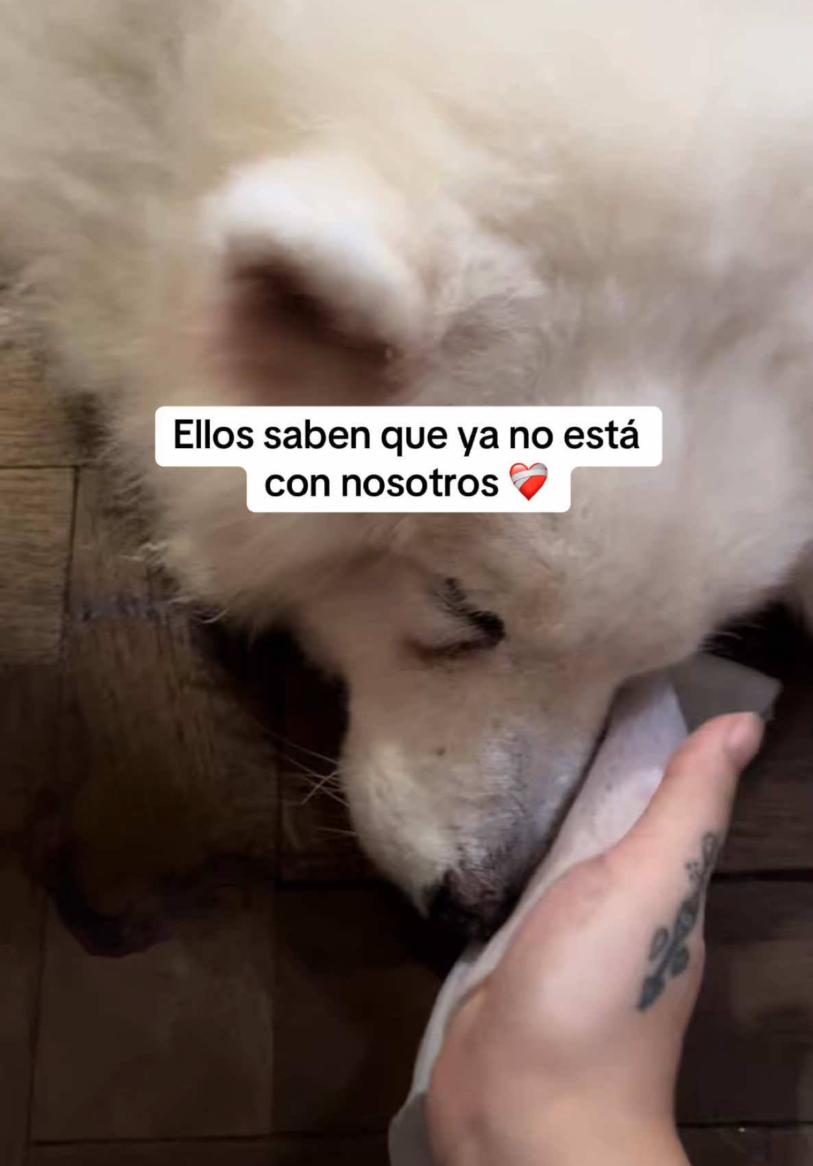 No quería llorar hoy / vía @lifebythiri 