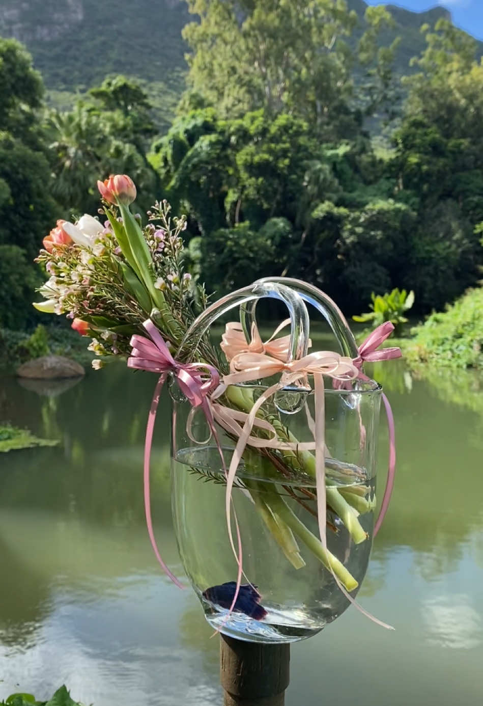 This Mother’s Day, say more than “thank you” — say it with our special selection of flowers. Celebrate the woman who’s given you everything in this world with a beautiful, hand-crafted bouquet designed in a glass handbag to show just how much she means to you. And we do not forget the small living creature in it 🫶🏻 Limited Stock only. Kindly order yours NOW ✨ #bettafish#tulips#mother#motherhood#gift#glassbag#bestgjft#surpriseher#loveyou#pamper#flower#joy#blessed#happiness#fyp#mauritius🇲🇺 
