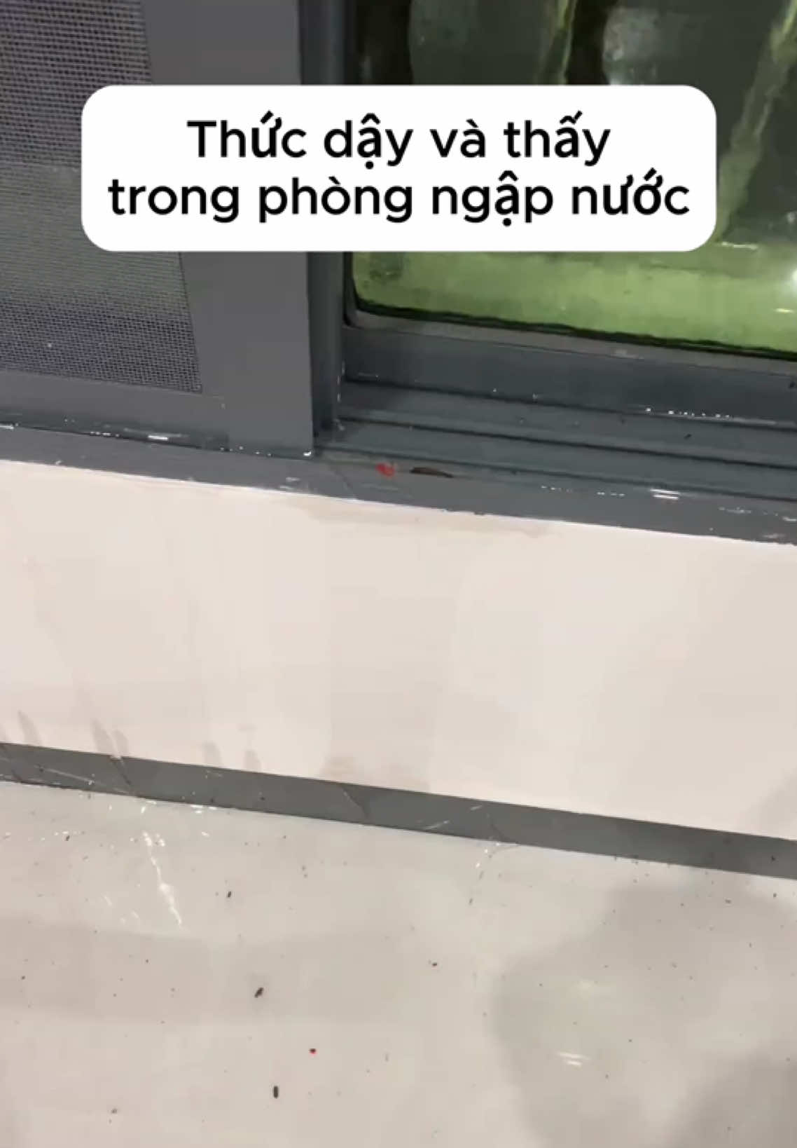 Keo chống thấm đa năng trong suốt, chống thấm hiệu quả 10 năm #keochongtham #keochongdot #chongthamdanang #chongthamtrongsuot #dodunggiadinh 