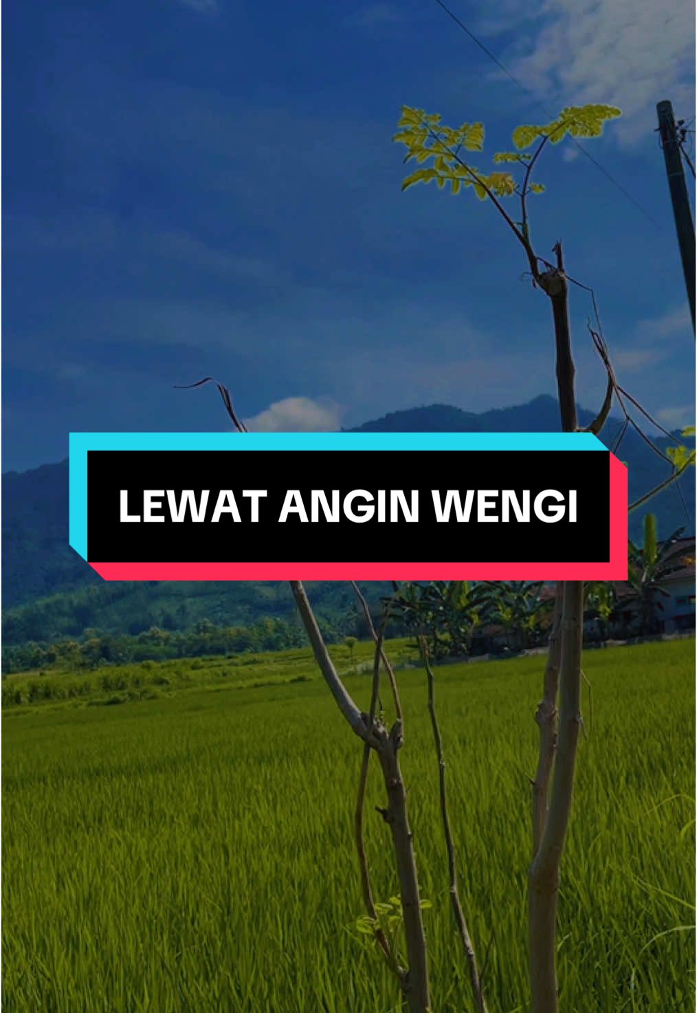 Lewat Angin Wengi #CapCut #lagujawa #rungoknosworoatiku #lewatanginwengi #ramayana #rahwana #shinta 