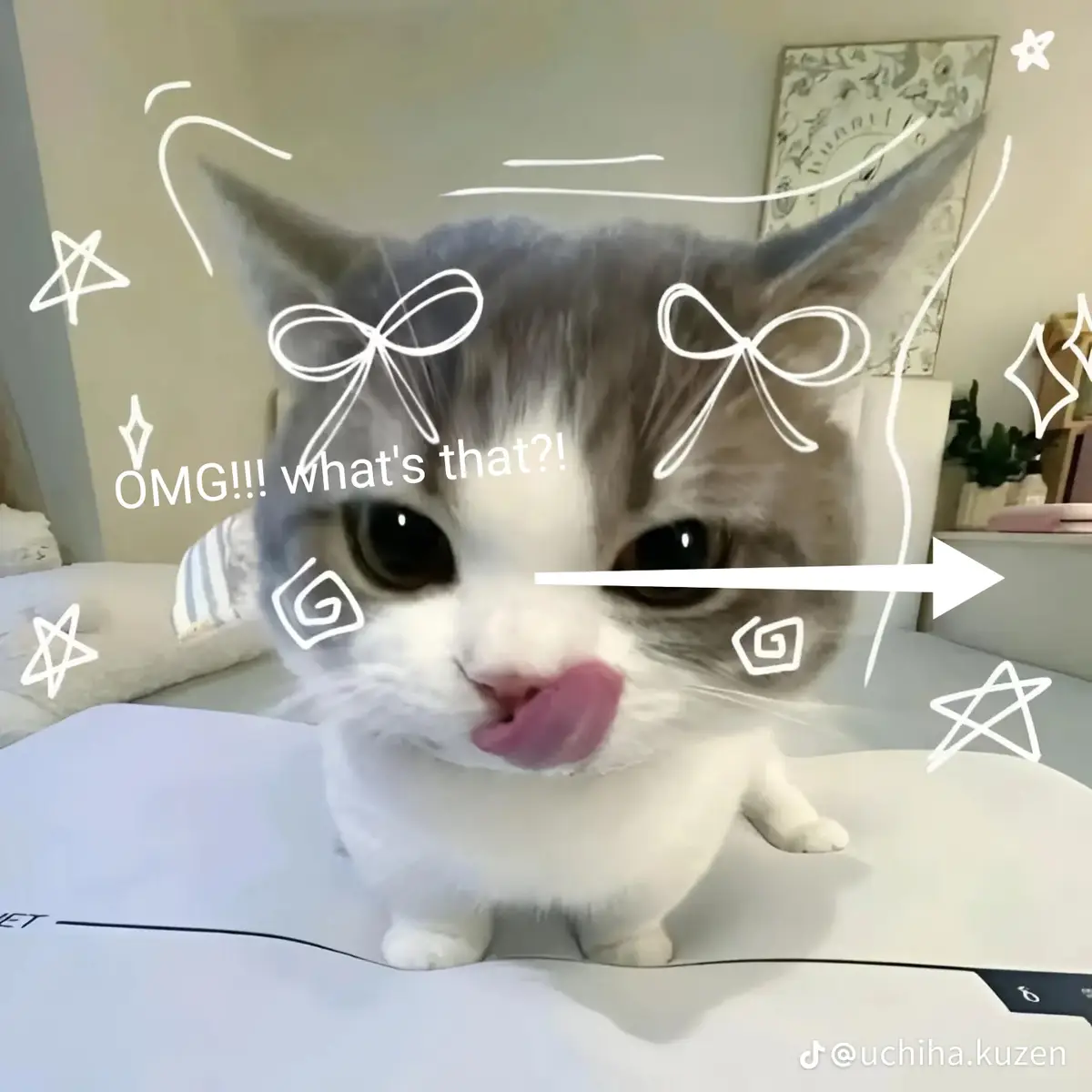 prank swipe loading 🤓