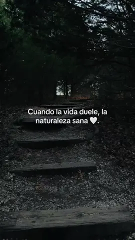 ❤️‍🩹#todos #paratii #natural #nature #sanar #frasesmotivadoras #frases_de_todo #naturalesa 