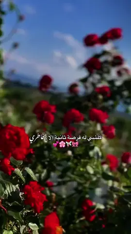 واعوذ بالله من خاطري إذا طاب👌#مجرد________ذووووووق🎶🎵💞 #ترند #fypシ゚ #foryoupage #fypage #fyppppppppppppppppppppppp #fypシ゚ 