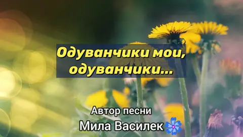 Одуванчики мои, одуванчики#авторская_песня #MilaVasilek #песнядлядуши #Беларусь #МилаВасилек #василек