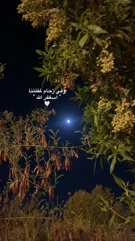 #اكتب_شيء_تؤجر_عليه🌿🕊  #اسغفر_الله_العظيم #صلوا_على_رسول_الله 