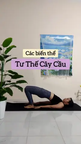 Biến thể của tư thế cây cầu #yoga #truclyyoga 