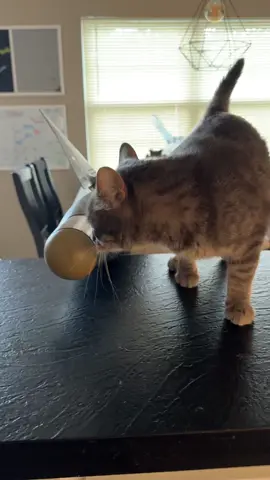 Want one? Visit #aerialsurplus 