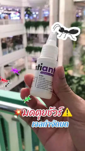 เจลกำจัดมด #เจลกำจัดมด #รีวิวเจลกําจัดมด #แอนท์เบทเจลกําจัดมดยกรัง #มด 