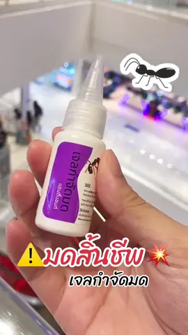 เจลกำจัดมด #เจลกำจัดมด #รีวิวเจลกําจัดมด #แอนท์เบทเจลกําจัดมดยกรัง #มด 