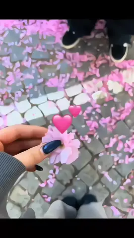 Dilbara 🦋♥ .  .  .  #fpyyyyyyyyyyyyyyyyyyyyyy #foryoupage❤️❤️#fpyシ  #trend #viral #couplestikto #flowers #viewsproblem #growmyaccount 