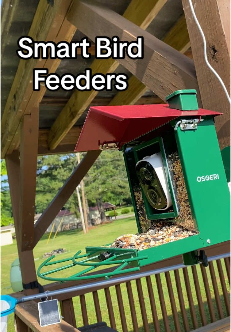 These smart bird feeders work amazing and it’s so fun being able to watch all the birds up close #smartbirdfeeder #smartbird #birdfeeder #birdfeedercam #birdfeederwithcamera #nature #wildlife #birdwatching #tiktokshopcreatorpicks #toptiermay #ttslevelup #viralfinds 