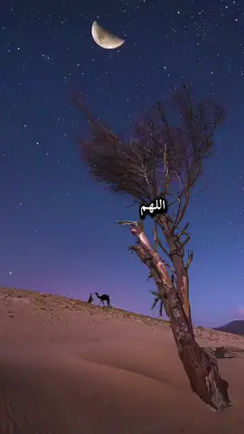 #اللهم_اني_أسألك_النسيان #النسيان_نعمه #ربي_اعني 