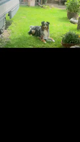 Vita miaaaaaa ti amo ❤️❤️❤️