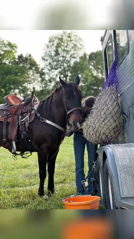 #horsegirlsoftiktok #rodeopuppy #aspen #rodeoseason2025🐴🤠 #herbiggestsupporter #rodeomom #rodeotok⚡️ #rodeolife 
