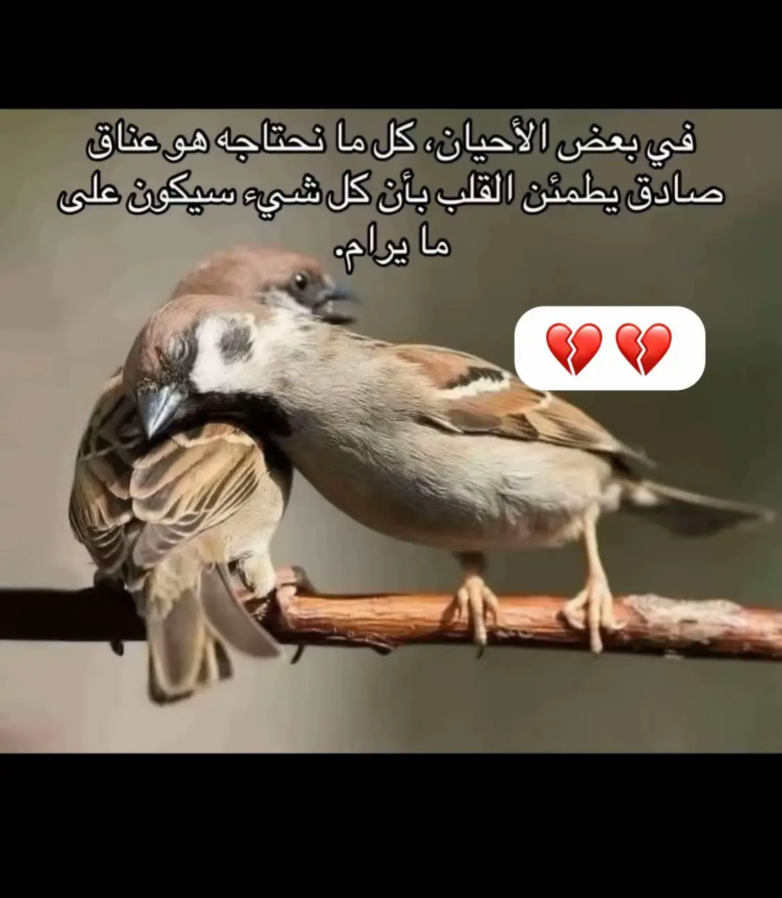#الشعب_الصيني_ماله_حل😂😂 
