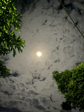 #storimalamhari #motivasi #fyppppppppppppppppppppppp #katakatastorywa_ 